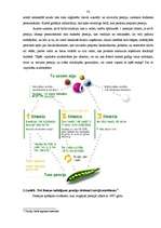 Diplomdarbs 'Valsts sociālais budžets un tā analīze', 32.