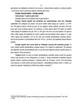 Diplomdarbs 'Valsts sociālais budžets un tā analīze', 33.