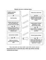 Konspekts 'Konstruktīvisma paņēmienu izmantošana latviešu literatūras mācīšanā. Teorija. Če', 2.