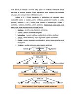 Konspekts 'Konstruktīvisma paņēmienu izmantošana latviešu literatūras mācīšanā. Teorija. Če', 4.