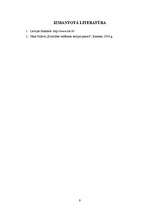 Referāts 'Kvalitātes sistēmas ieviešana', 9.