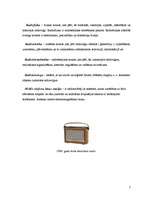 Referāts 'Radiokomunikācijas', 7.