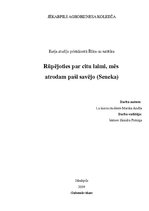 Eseja 'Kas ir laime?', 4.