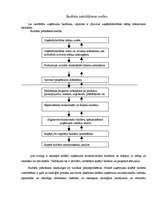 Referāts 'Valsts budžets', 6.