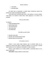 Referāts 'Valsts budžets', 9.