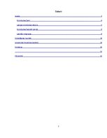 Referāts 'Latvijas rokmūzikas attīstības vēsture', 2.