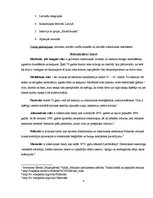 Referāts 'Latvijas rokmūzikas attīstības vēsture', 4.