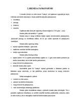 Biznesa plāns 'IK salons "Leksija"', 6.