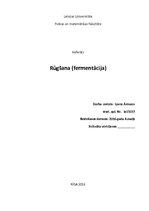 Referāts 'Rūgšana', 1.