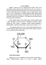 Referāts 'Rūgšana', 4.