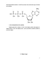 Referāts 'Rūgšana', 5.