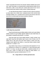 Referāts 'Rūgšana', 8.