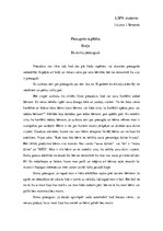 Eseja 'Es esmu pieaugusi', 1.