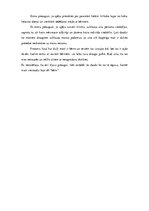 Eseja 'Es esmu pieaugusi', 2.