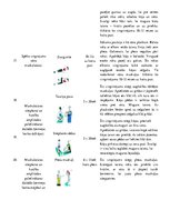 Konspekts 'Vingrojumu kompleksa tabula', 6.