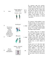 Konspekts 'Vingrojumu kompleksa tabula', 7.