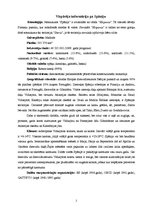 Referāts 'Spānijas ģeopolitika', 2.