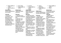 Prakses atskaite 'Kvalifikācijas prakse pirmsskolā', 8.