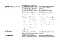 Prakses atskaite 'Kvalifikācijas prakse pirmsskolā', 17.