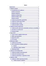 Biznesa plāns 'Bambusa parketa vairumtirdzniecība', 3.