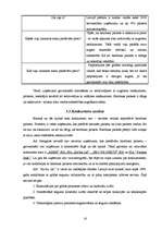 Biznesa plāns 'Bambusa parketa vairumtirdzniecība', 16.