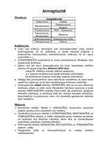 Konspekts 'Aminoglikozīdi', 1.