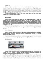 Referāts 'Tūrisma maršruta izveide uz Igauniju', 8.