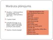 Referāts 'Tūrisma maršruta izveide uz Igauniju', 21.