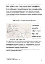 Referāts 'Lidaparātu Airbus 320 un Boeing 737 vadības kontroles salīdzinājums', 9.