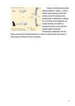 Referāts 'Lidaparātu Airbus 320 un Boeing 737 vadības kontroles salīdzinājums', 11.