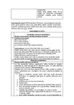 Paraugs '3. klase Tematiskā vienība Māmiņdiena!', 2.