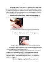 Referāts 'Natūza sikspārņa raksturojums, izplatība Latvijā un aizsardzības pasākumi', 5.