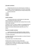 Konspekts 'Mantojuma tiesības', 5.