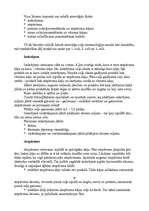 Referāts 'Trīssoļlēkšana', 4.