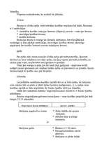 Referāts 'Trīssoļlēkšana', 7.