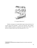 Referāts 'Iepakošana', 10.