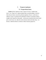 Referāts 'Iepakošana', 19.