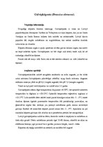 Konspekts 'Galviņkāposts (Brassica oleracea)', 1.