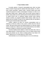 Referāts 'Mārketinga plāns (koncepcija)', 2.