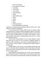 Referāts 'Mārketinga plāns (koncepcija)', 9.