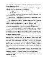 Referāts 'Mārketinga plāns (koncepcija)', 10.