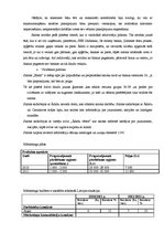 Referāts 'Mārketinga plāns (koncepcija)', 11.