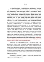 Diplomdarbs 'Grāmatvedības darba organizācija uzņēmumā SIA "AgrAutoPlus"', 7.