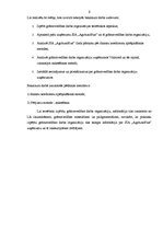 Diplomdarbs 'Grāmatvedības darba organizācija uzņēmumā SIA "AgrAutoPlus"', 8.