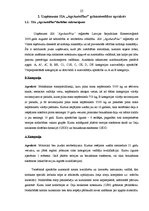 Diplomdarbs 'Grāmatvedības darba organizācija uzņēmumā SIA "AgrAutoPlus"', 25.