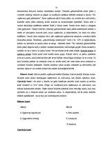 Diplomdarbs 'Grāmatvedības darba organizācija uzņēmumā SIA "AgrAutoPlus"', 33.