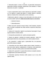 Diplomdarbs 'Grāmatvedības darba organizācija uzņēmumā SIA "AgrAutoPlus"', 66.