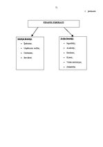 Diplomdarbs 'Grāmatvedības darba organizācija uzņēmumā SIA "AgrAutoPlus"', 71.