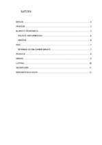 Referāts 'Vējuzplūdi', 3.