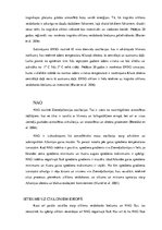 Referāts 'Vējuzplūdi', 7.